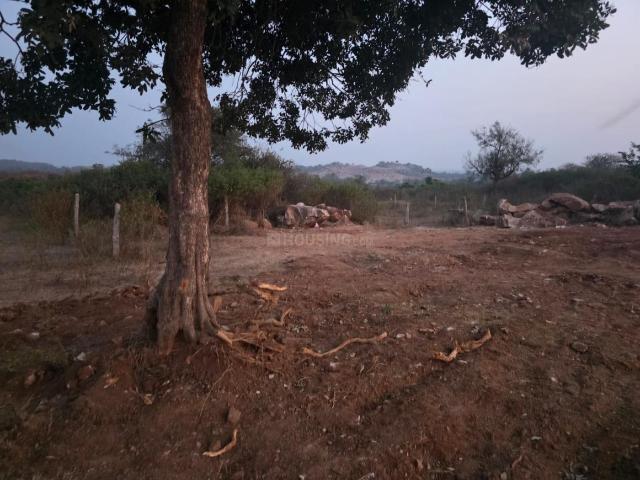 Agricultural Land in Alladurg for resale Medak. The reference number is 19127825