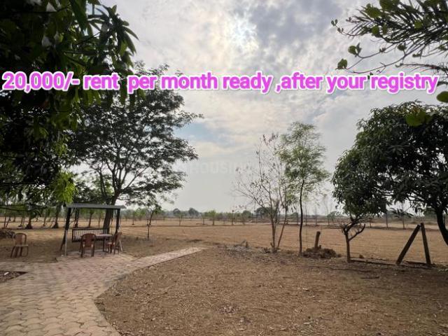 Agricultural Land in Amleshwar for resale Raipur. The reference number is 17081318