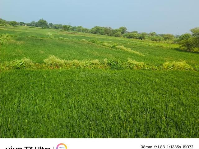 Agricultural Land in Amleshwar for resale Raipur. The reference number is 18975735