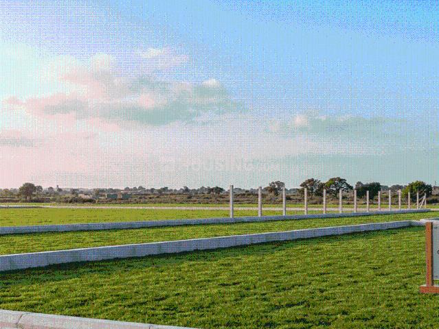 Agricultural Land in Amleshwar for resale Raipur. The reference number is 20422079