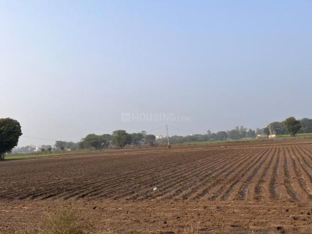 Agricultural Land in Assandh for resale Karnal. The reference number is 16325666