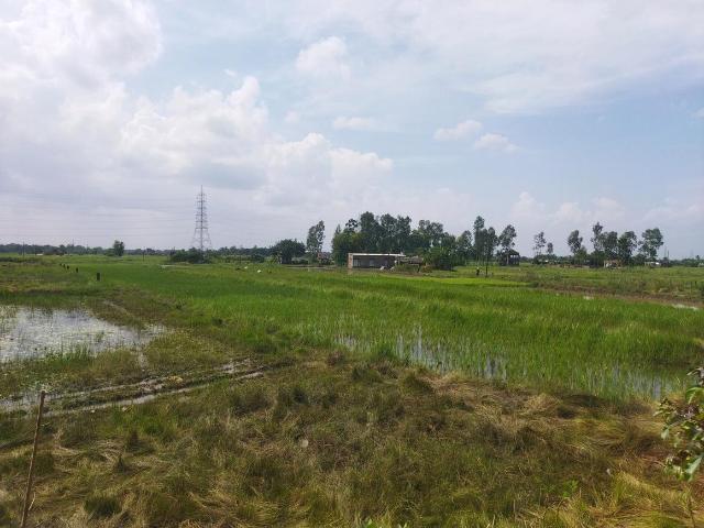 Agricultural Land in Arapanch for resale Kolkata. The reference number is 15920093