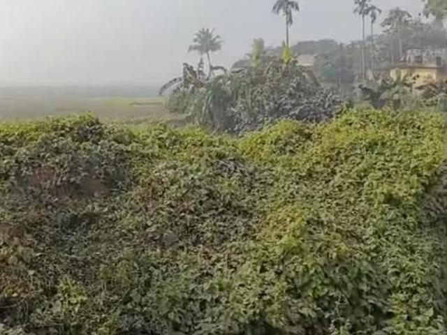 Agricultural Land in Bardhaman University for resale Bardhaman. The reference number is 16555584