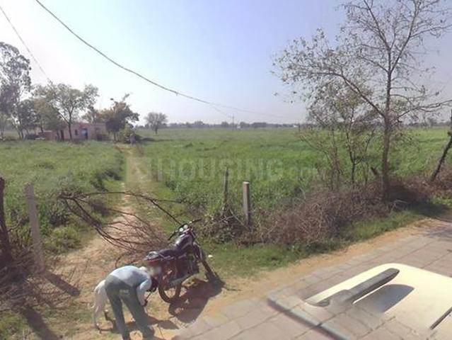 Agricultural Land in Bawal for resale Rewari. The reference number is 14861144
