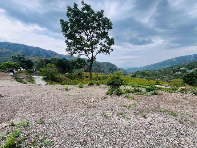 Agricultural Land in Bhogpur for resale Dehradun. The reference number is 17462788