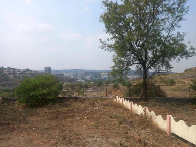 Agricultural Land in Bhor for resale Pune. The reference number is 19681980