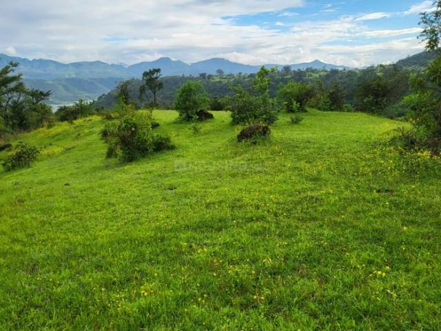 Agricultural Land in Bhor for resale Pune. The reference number is 19682205