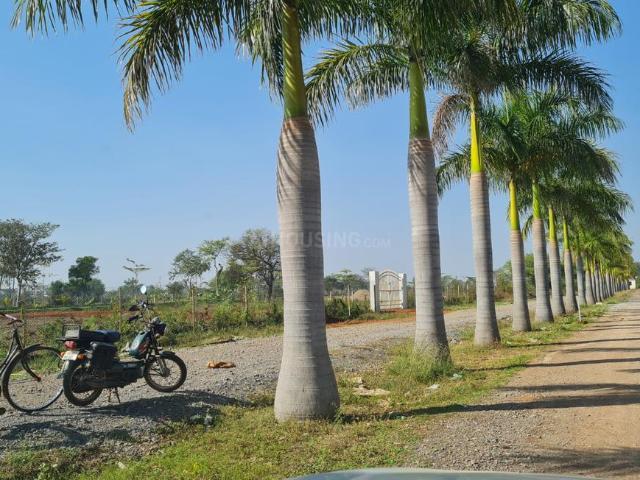 Agricultural Land in Bhatagaon for resale Raipur. The reference number is 15207780
