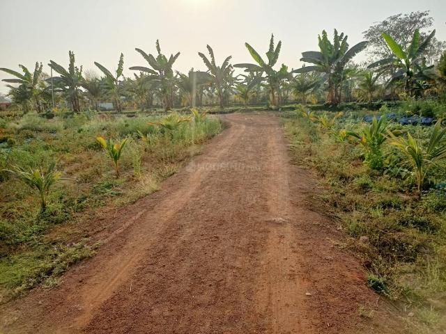 Agricultural Land in Bhatagaon for resale Raipur. The reference number is 15260878
