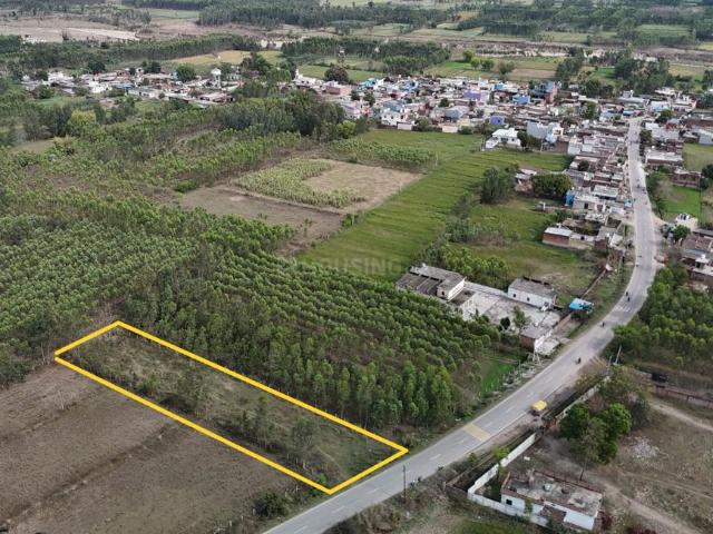 Agricultural Land in Biharigarh for resale Saharanpur. The reference number is 20137217