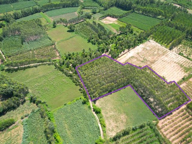 Agricultural Land in Biharigarh for resale Saharanpur. The reference number is 20804657