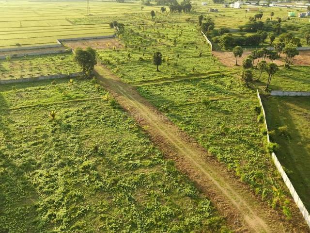 Agricultural Land in Bukkathurai for resale Chennai. The reference number is 19897364