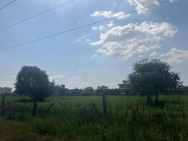 Agricultural Land in Chaksu for resale Jaipur. The reference number is 20287606