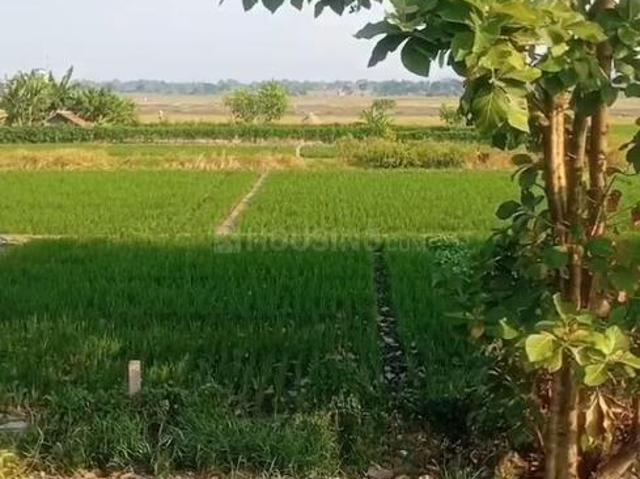Agricultural Land in Chandwaji for resale Jaipur. The reference number is 19672622