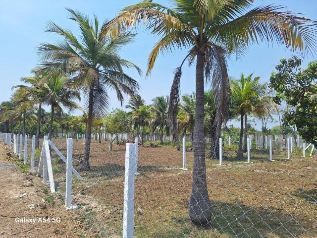 Agricultural Land in Chithamur for resale Chennai. The reference number is 20137640