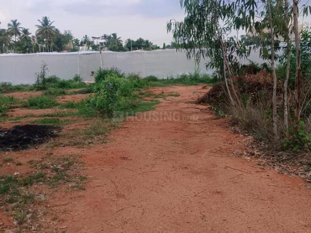 Agricultural Land in Chikkanahalli Village for resale Bengaluru. The reference number is 20513625