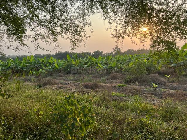 Agricultural Land in Datrenga for resale Raipur. The reference number is 15631480