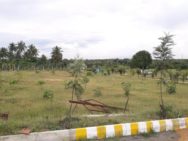 Agricultural Land in Denkanikottai for resale Krishnagiri. The reference number is 12458423