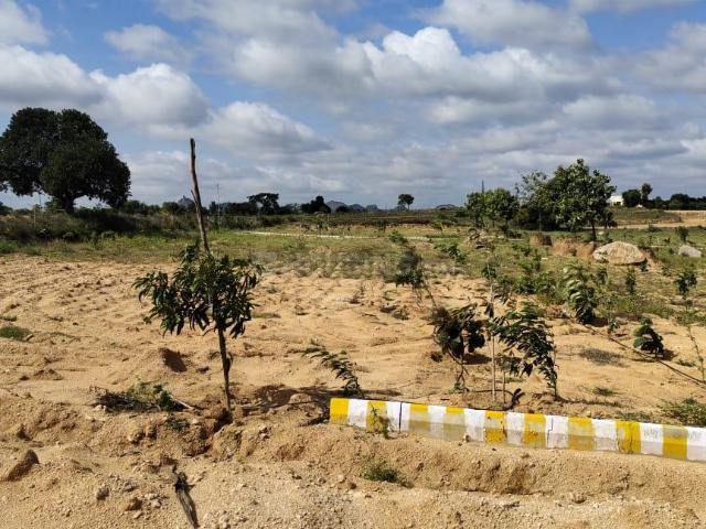 Agricultural Land in Denkanikottai for resale Krishnagiri. The reference number is 12468422