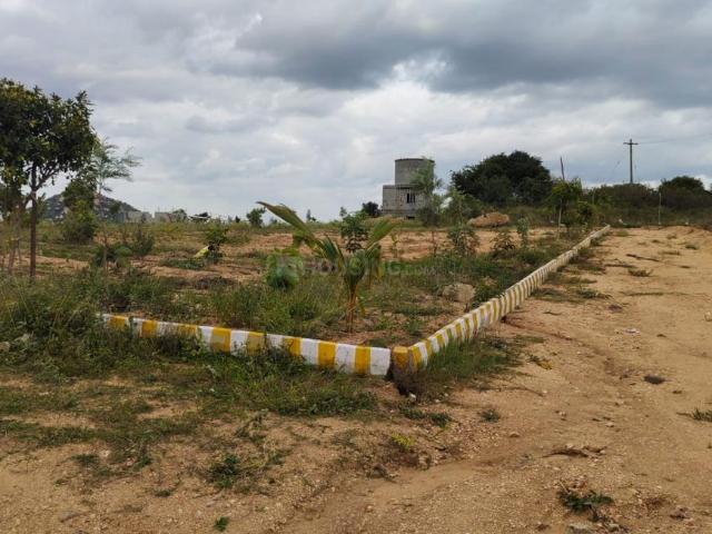 Agricultural Land in Denkanikottai for resale Krishnagiri. The reference number is 12468500
