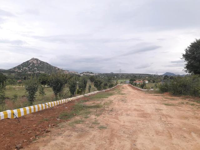 Agricultural Land in Denkanikottai for resale Krishnagiri. The reference number is 12468656