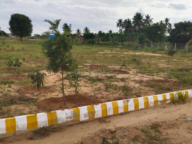 Agricultural Land in Denkanikottai for resale Krishnagiri. The reference number is 12468736