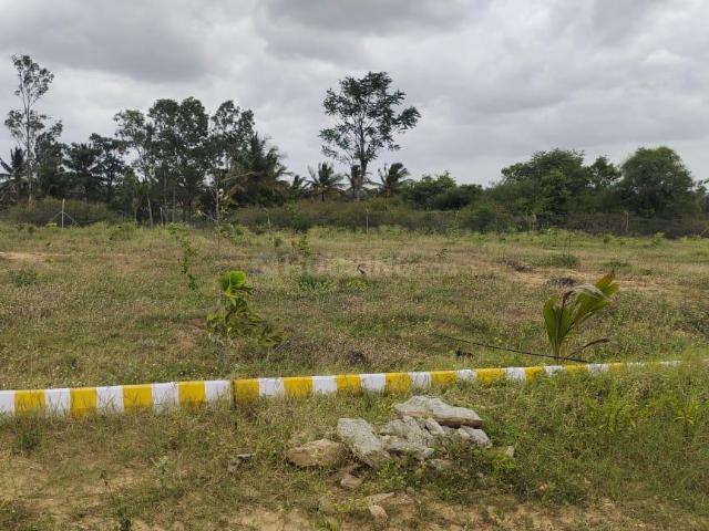 Agricultural Land in Denkanikottai for resale Krishnagiri. The reference number is 12468802