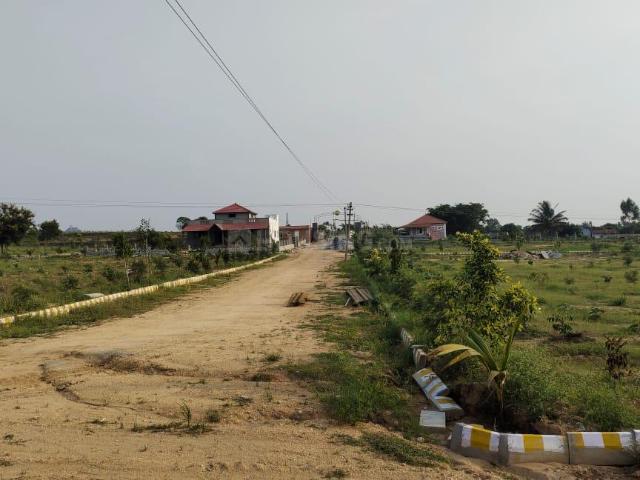 Agricultural Land in Denkanikottai for resale Krishnagiri. The reference number is 12289528