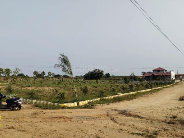 Agricultural Land in Denkanikottai for resale Krishnagiri. The reference number is 12289276