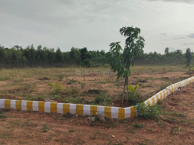 Agricultural Land in Denkanikottai for resale Krishnagiri. The reference number is 12386486