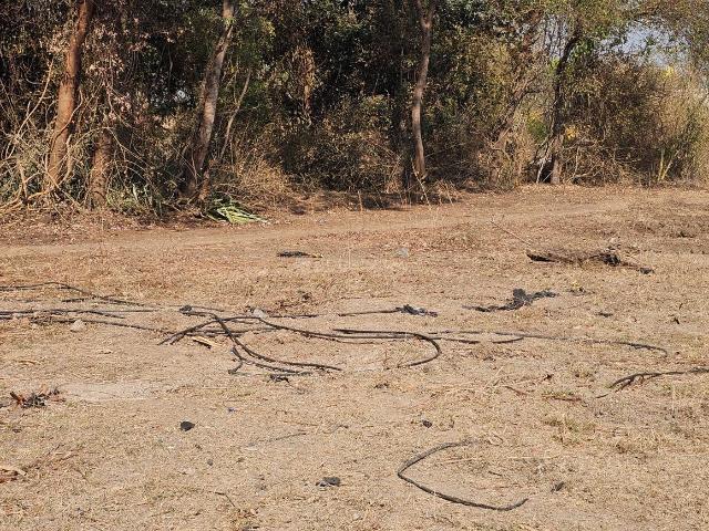 Agricultural Land in Deolali Camp for resale Devlali. The reference number is 17983960