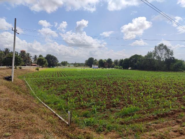 Agricultural Land in Devanahalli for resale Bengaluru. The reference number is 20748509