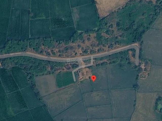 Agricultural Land in Dholka for resale Ahmedabad. The reference number is 20452805