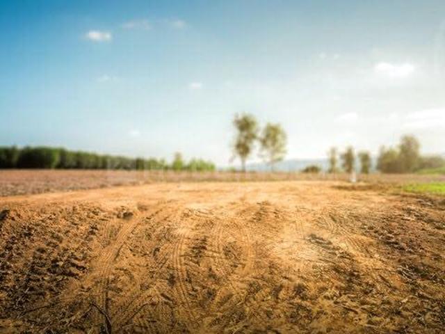 Agricultural Land in Eklingji for resale Nathdwara. The reference number is 20976391