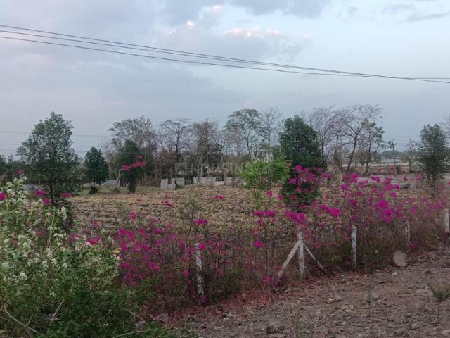 Agricultural Land in Eint Khedi for resale Bhopal. The reference number is 20743760