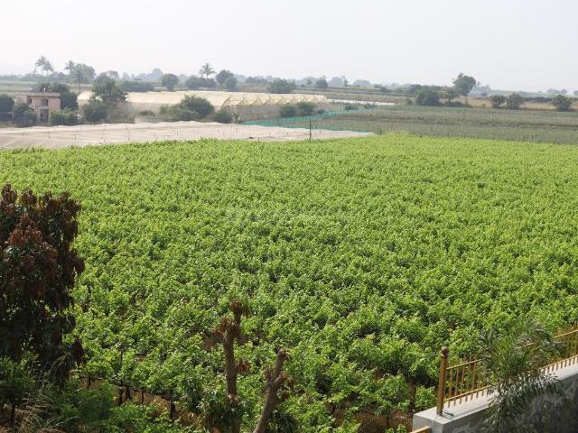 Agricultural Land in Gangapur for resale Nashik. The reference number is 13239976