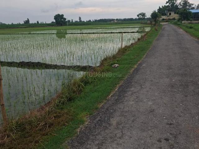 Agricultural Land in Garh Mukteshwar for resale Hapur. The reference number is 20747089
