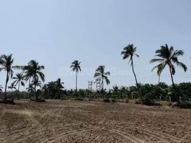 Agricultural Land in Gholvad for resale Mumbai. The reference number is 12895357
