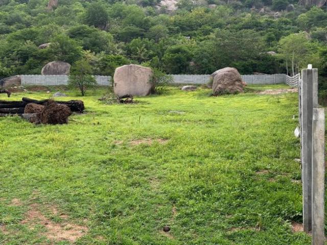 Agricultural Land in Gungal for resale Hyderabad. The reference number is 14161639