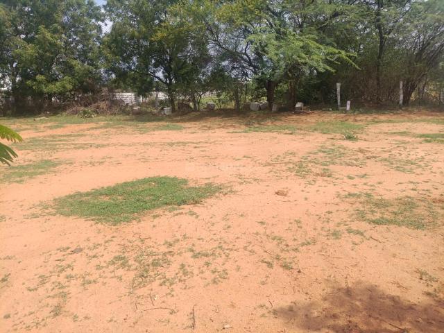 Agricultural Land in Jadcherla for resale Hyderabad. The reference number is 17471601