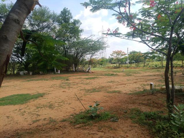 Agricultural Land in Jadcherla for resale Hyderabad. The reference number is 17471106