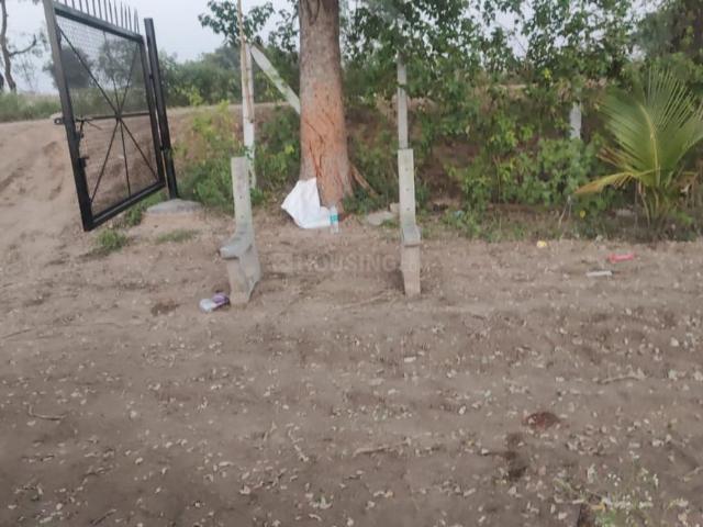 Agricultural Land in Kandukur for resale Hyderabad. The reference number is 20351579