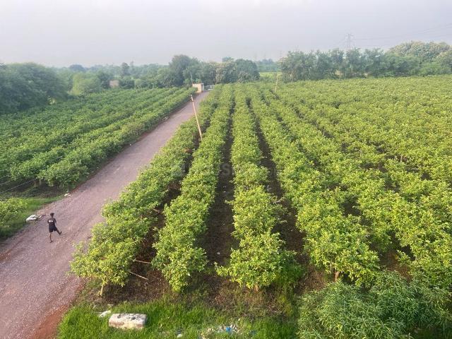 Agricultural Land in Kabir Nagar for resale Raipur. The reference number is 18444104