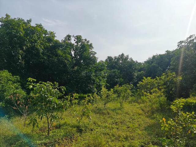 Agricultural Land in Kadavur for resale Madurai. The reference number is 20894841