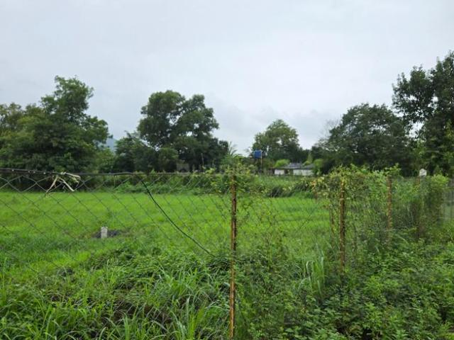 Agricultural Land in Karjat for resale Thane. The reference number is 19168897