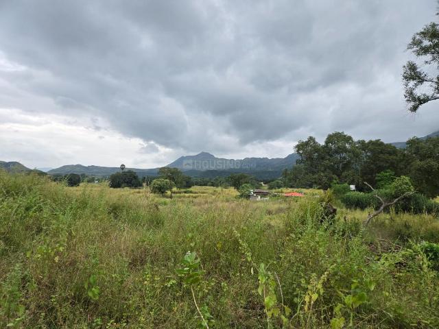Agricultural Land in Karjat for resale Thane. The reference number is 19168916