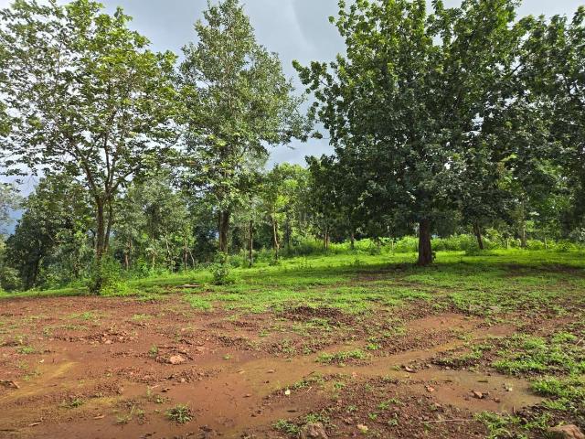 Agricultural Land in Karjat for resale Thane. The reference number is 19115208
