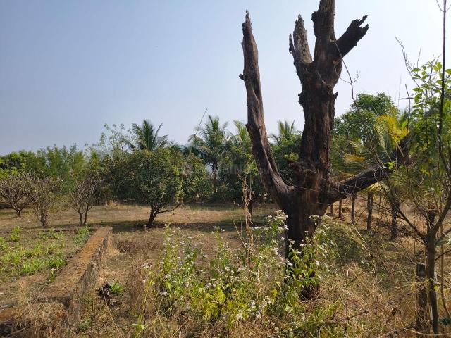 Agricultural Land in Karjat for resale Thane. The reference number is 19226743