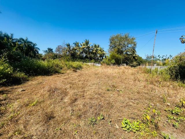 Agricultural Land in Karjat for resale Thane. The reference number is 19510785