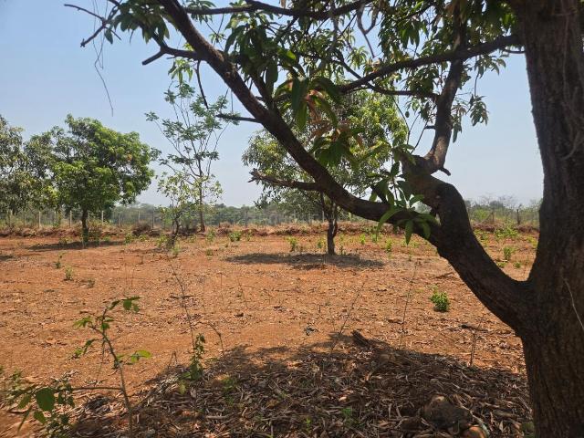 Agricultural Land in Karjat for resale Thane. The reference number is 19977510